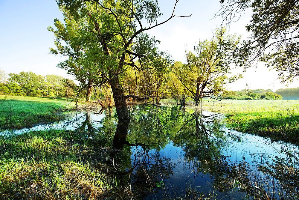 Similar – green lake Summer Nature