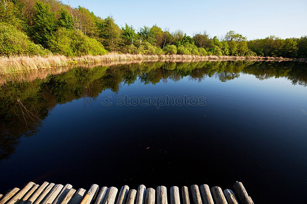 Image, Stock Photo with no brain Landscape