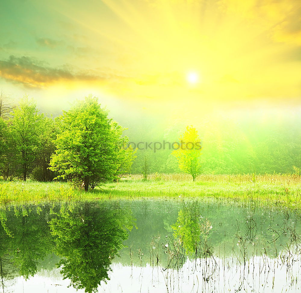 Similar – Image, Stock Photo Pond water with autumn leaves