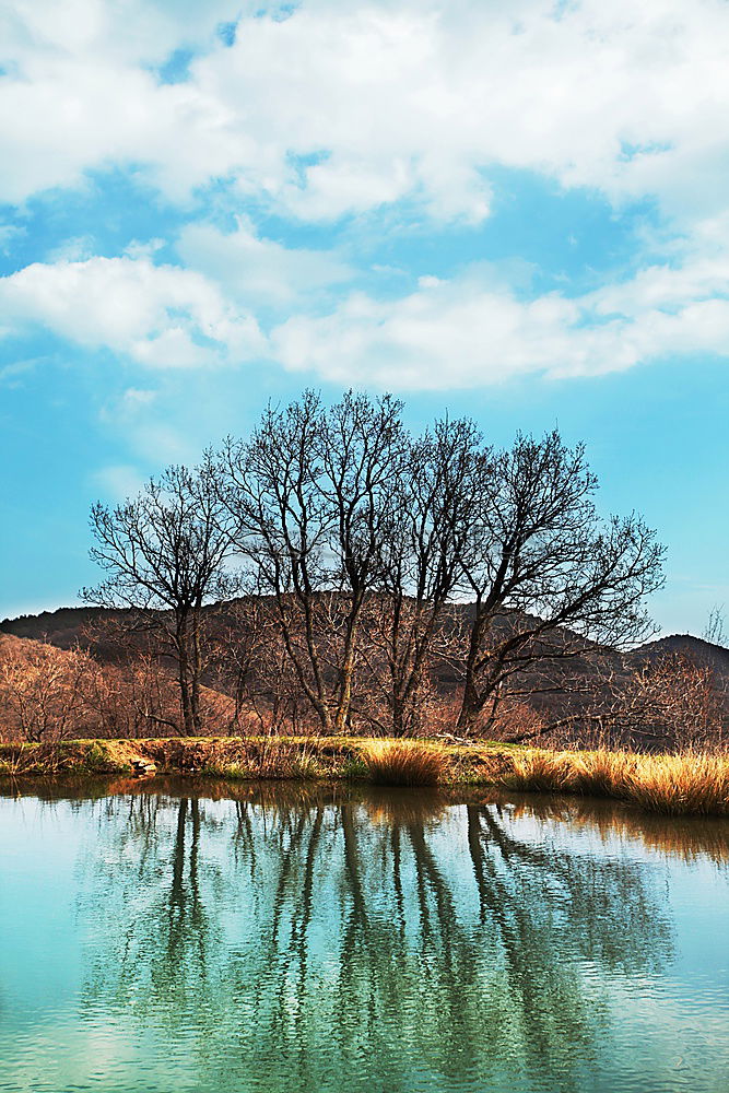 Similar – der große farbtopf Umwelt