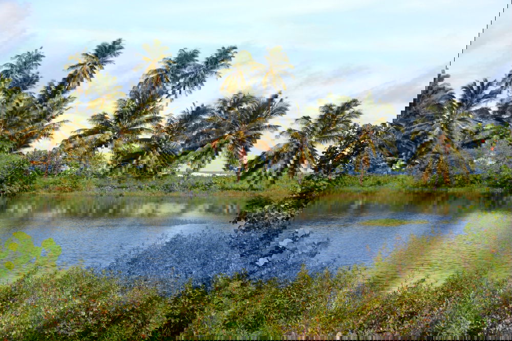 Similar – Image, Stock Photo we are the climate| corona thoughts