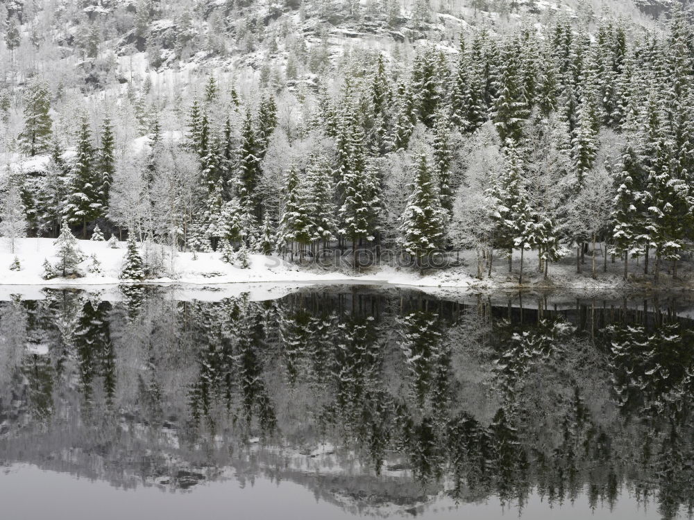 Image, Stock Photo colder Nature Landscape