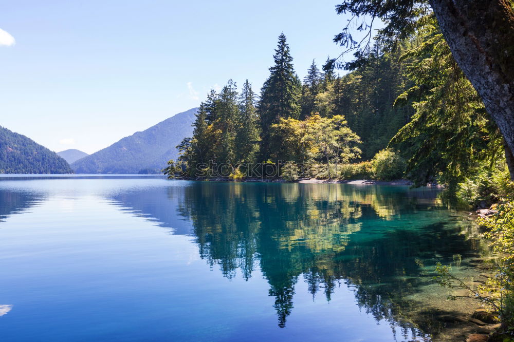 Similar – Image, Stock Photo Woman photographing the amazing lake Bled, Slovenia