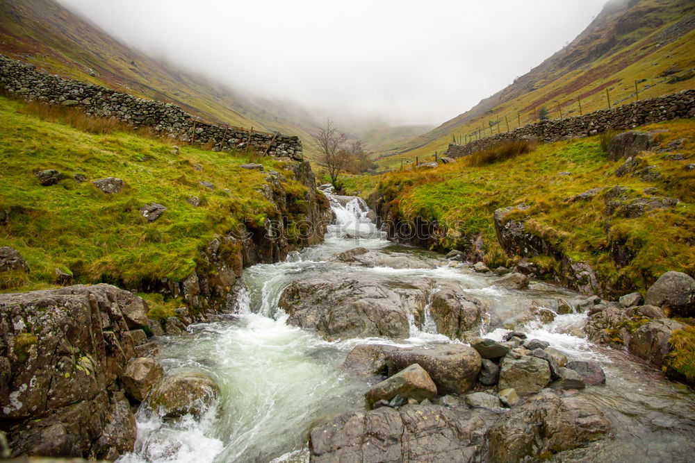 Similar – After the rain, moorland