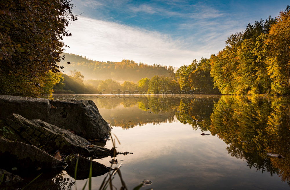 Morning mood at the lake