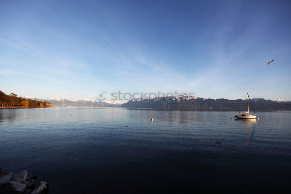 Similar – stony beach Lake Peace Sun