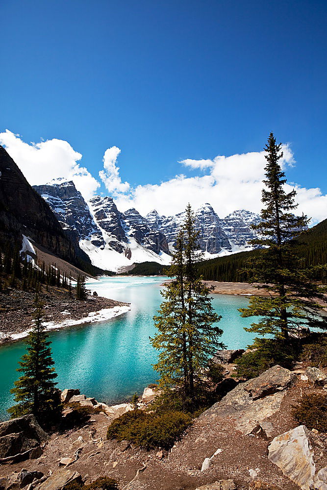 Similar – Moraine Lake, Canada Tree