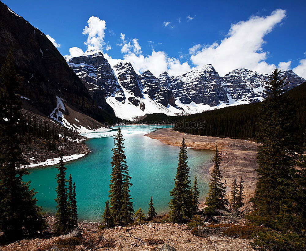 Similar – Moraine Lake, Canada Tree