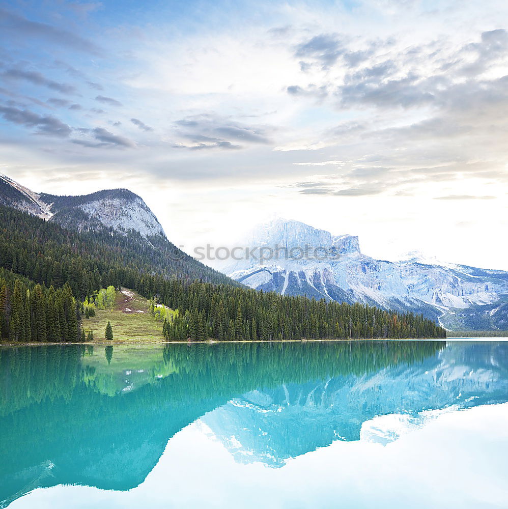 Emerald Lake Environment