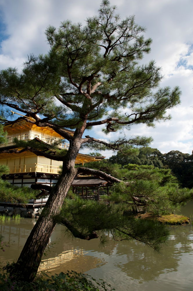 Similar – Yellow traditional Asian building