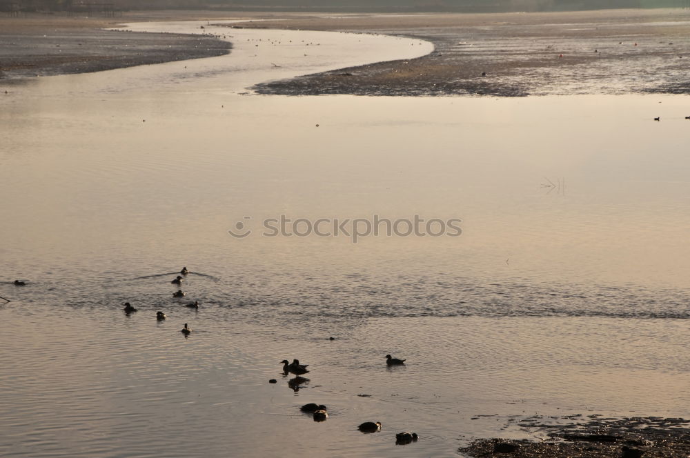 Similar – hooge Landscape