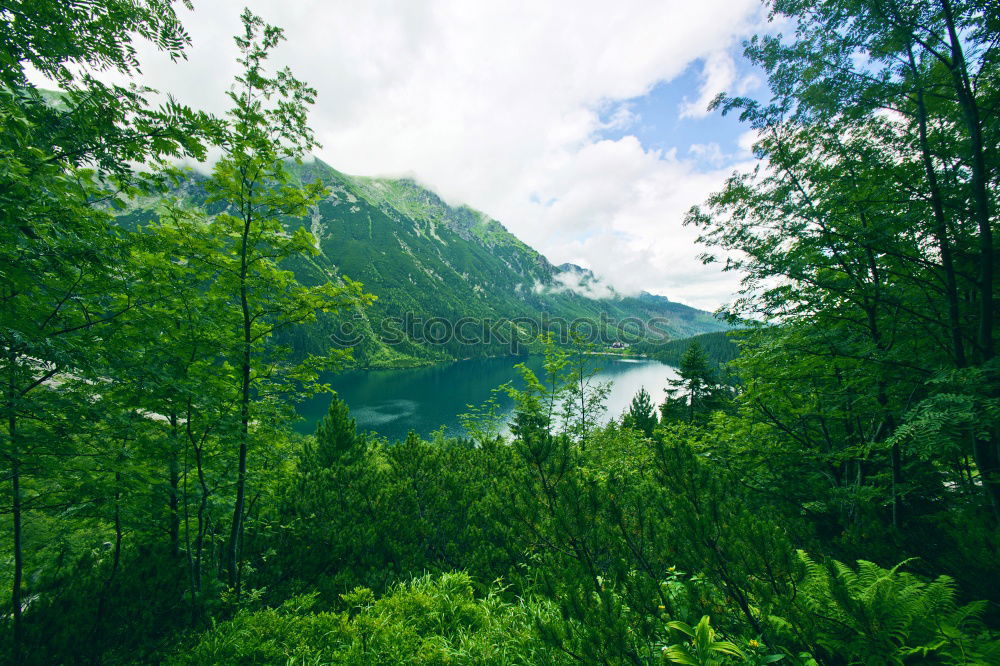 Similar – Image, Stock Photo Danube