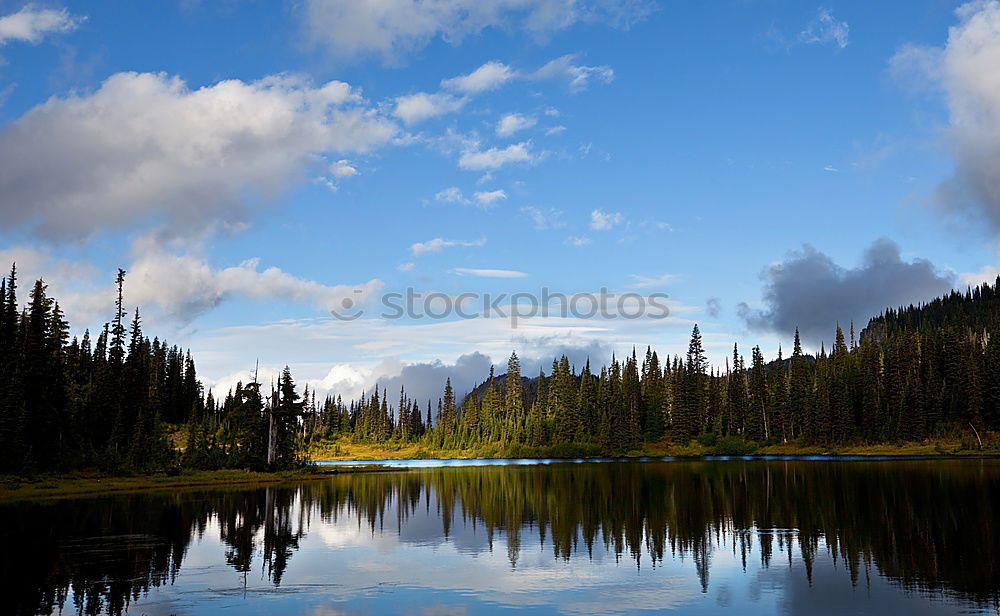 Similar – Foto Bild Spiegelsee See Wald