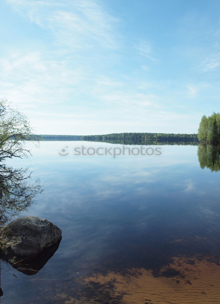 Similar – reflection Tree Wood