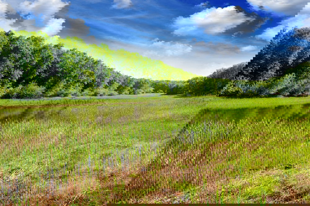 Image, Stock Photo green Idyll Paradise