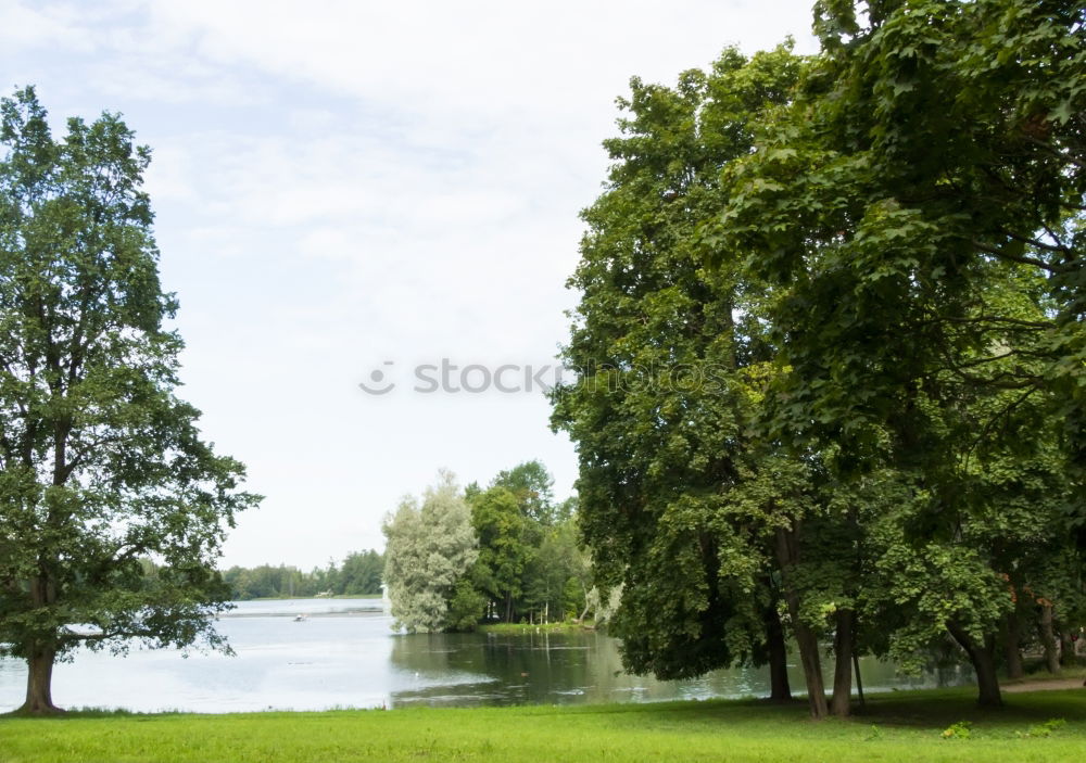 Similar – Footbridge at the lake #2