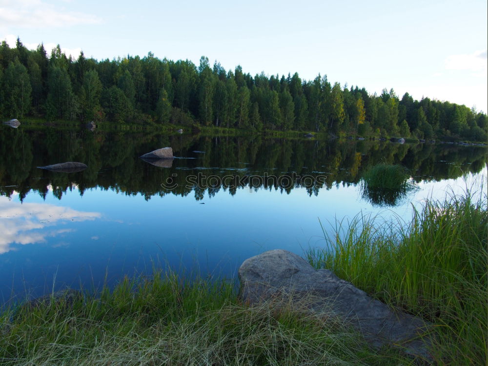 Similar – Foto Bild der herbst ist blau und grün