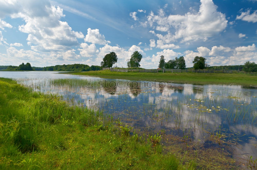 Similar – After the rain Environment