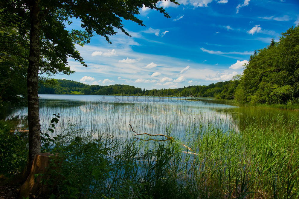 Similar – Bootshaus am Waldsee