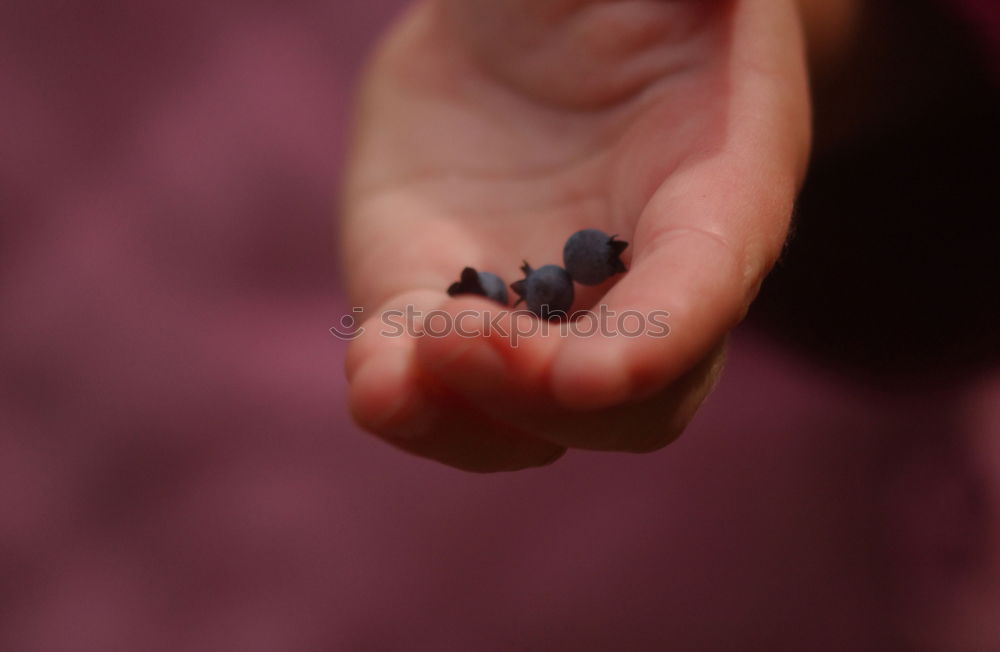 Similar – black mouse Hand Fingers