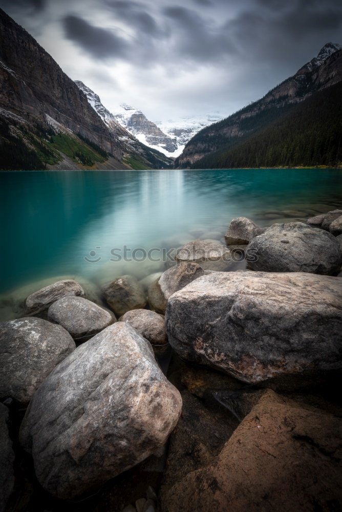 Similar – Image, Stock Photo VG makes picture healthy