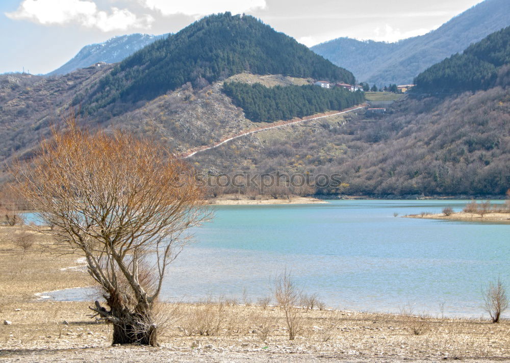 Similar – Foto Bild Weg ins Ungewisse Baum