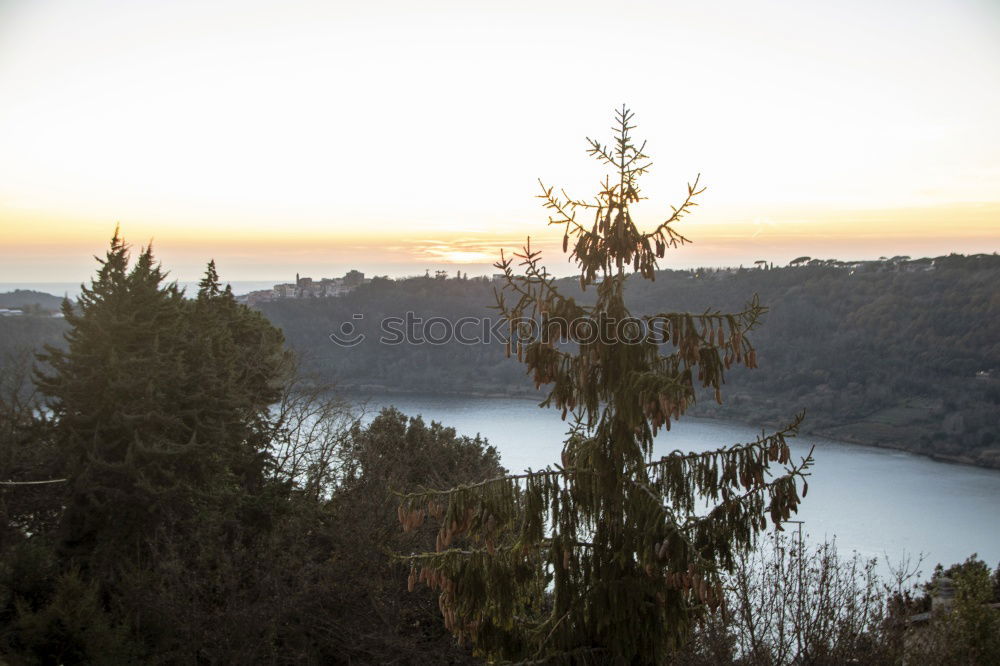 Similar – Golden Gate 1 Tree Clouds