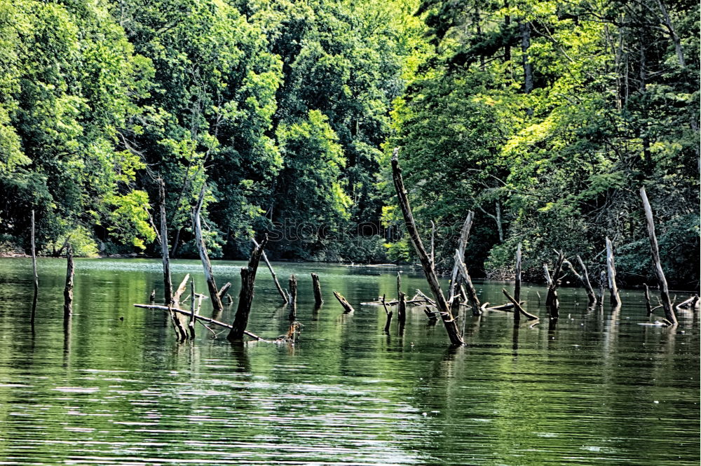 Similar – (Duck-)house at the lake