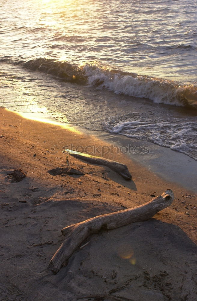 Similar – Boy at the sea Boy (child)