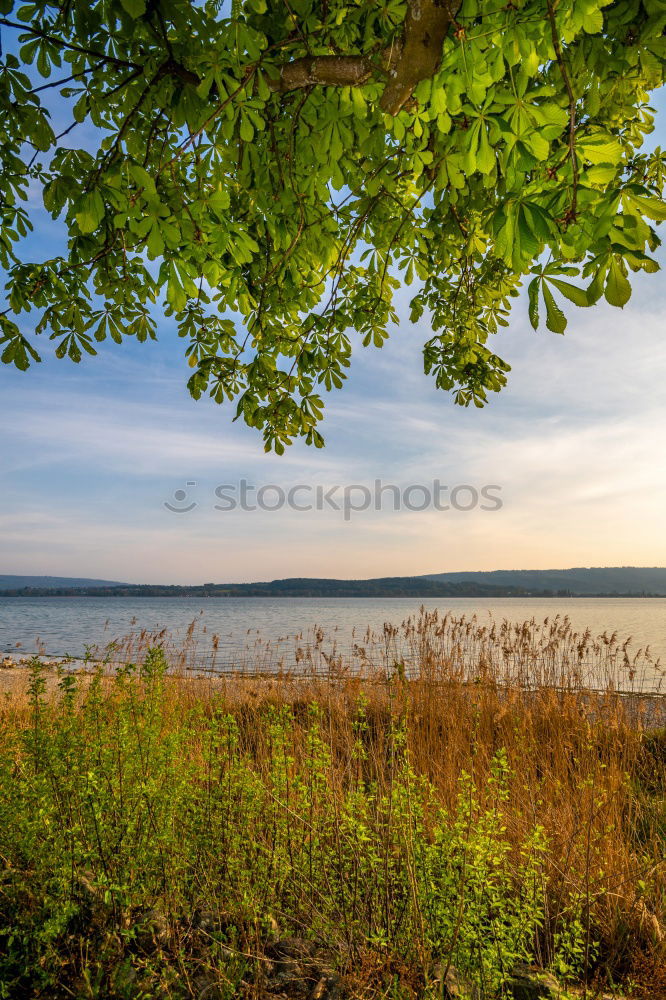 Image, Stock Photo Archipelago on the Swedish coast