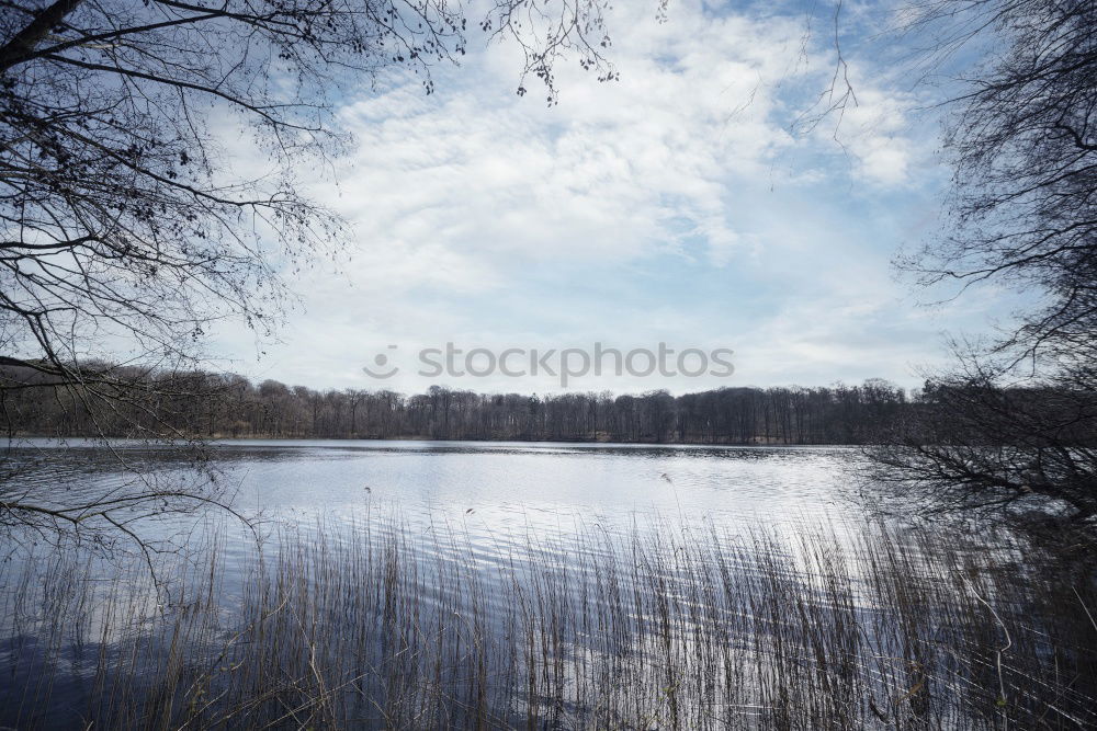 Similar – Image, Stock Photo beck-motiv-28 Autumn Tree