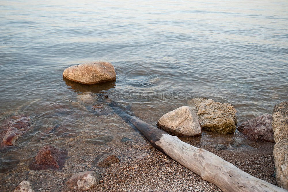 Similar – Foto Bild Surfin‘ dead Sea!