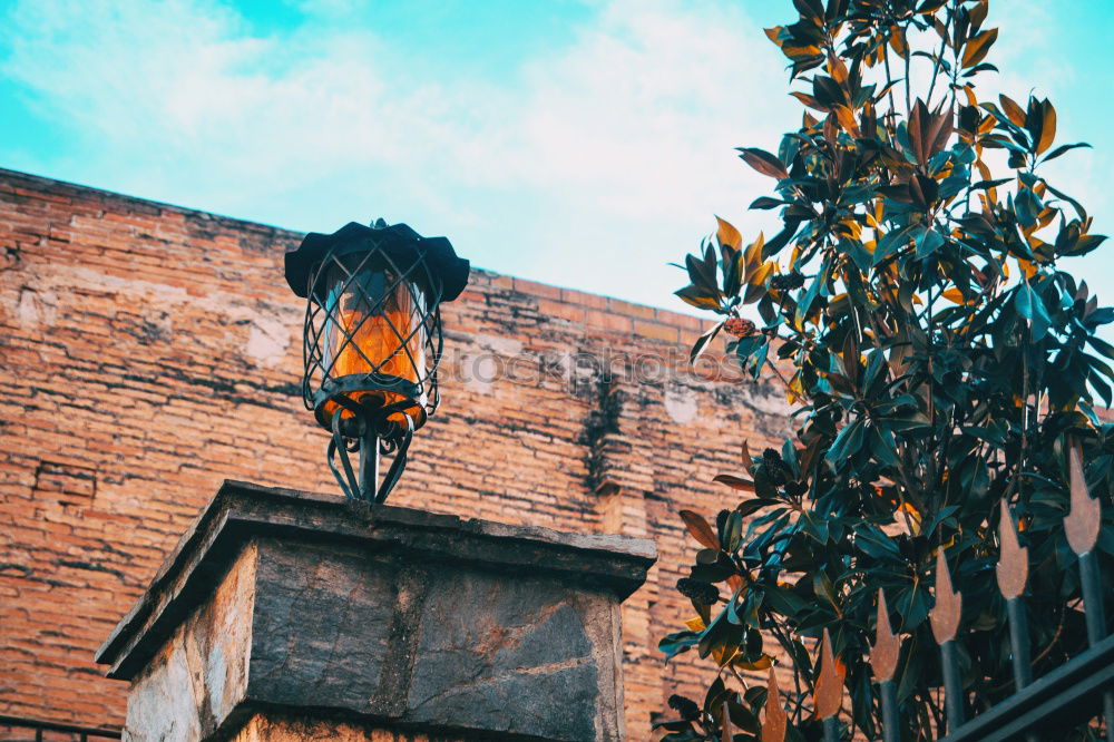 Similar – Image, Stock Photo marrakech Village Town