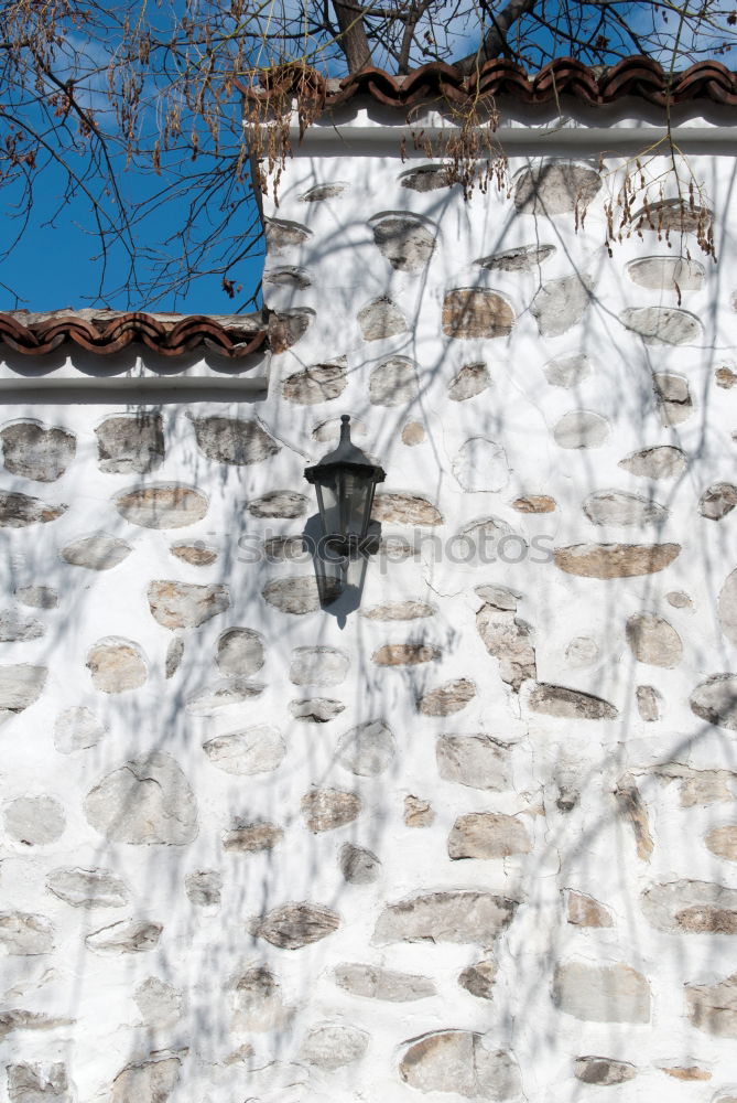 Similar – Image, Stock Photo scene. Nature Spring Tree