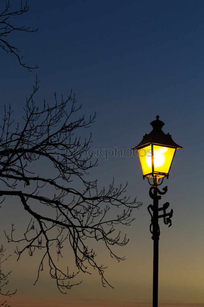 Similar – Abendstimmung am Gardasee