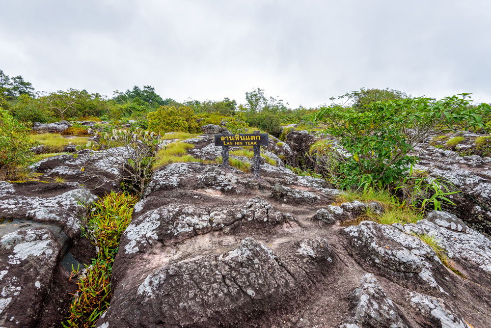 Similar – Image, Stock Photo Summer at the Barents Sea