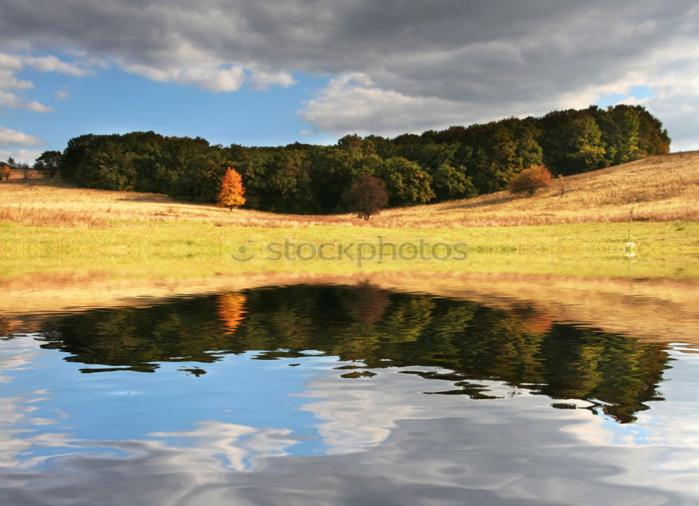 Similar – Image, Stock Photo raised bog Nature