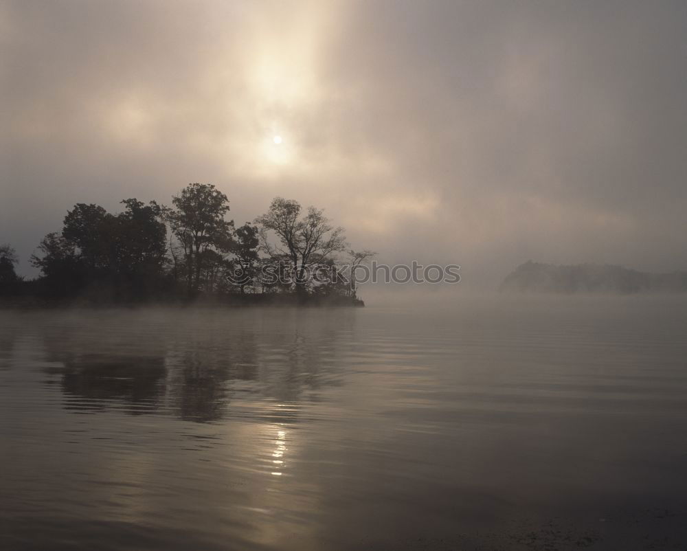 Similar – In the morning Lake Bird