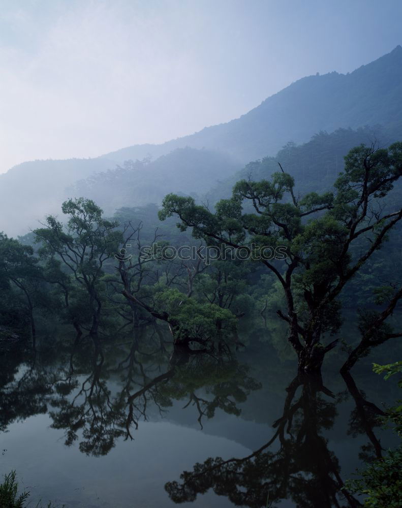 Similar – Image, Stock Photo River flowing between hills