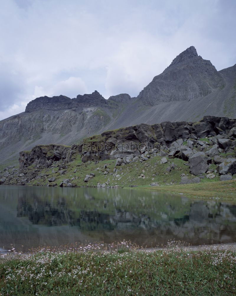 Similar – Image, Stock Photo Iceland Environment Nature