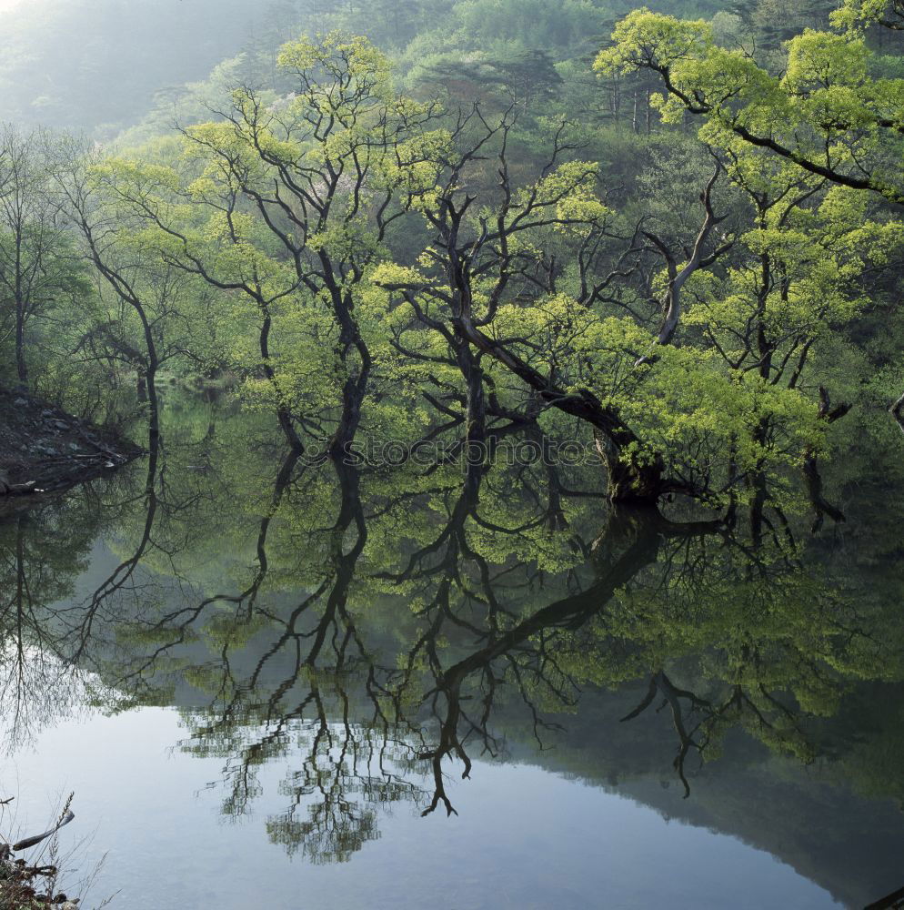 Similar – Image, Stock Photo River flowing between hills