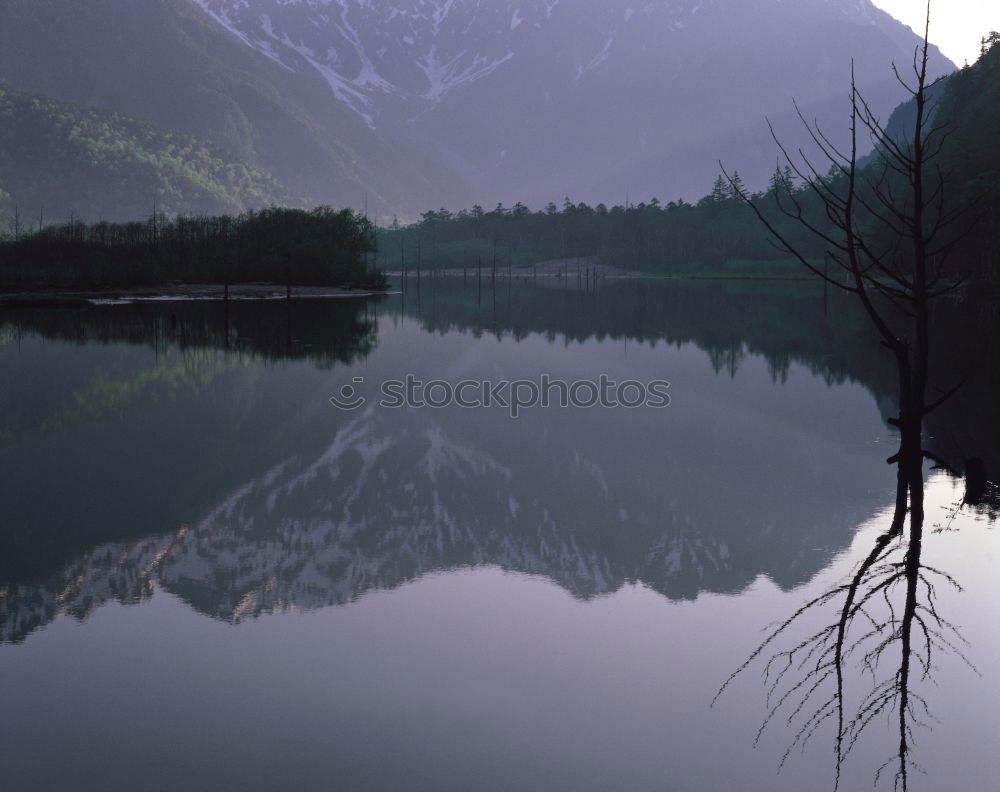 Similar – Image, Stock Photo rain drops Rain Reflection