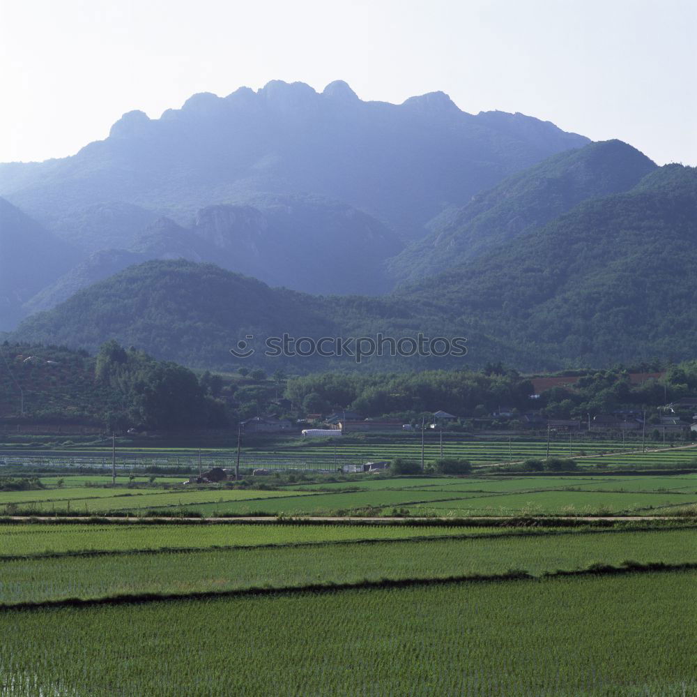 Similar – Foto Bild Landschaft der Rapsfelder und Berge im Frühjahr