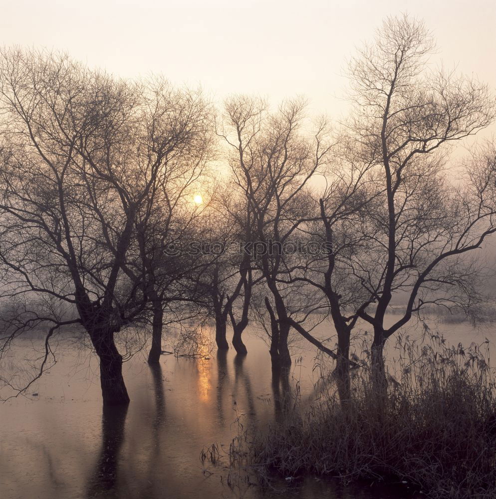 Similar – Image, Stock Photo At the lake Environment