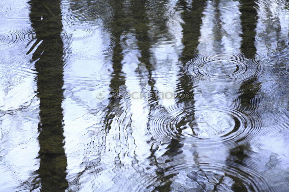 Similar – Rainwater on a blue garden table with reflection