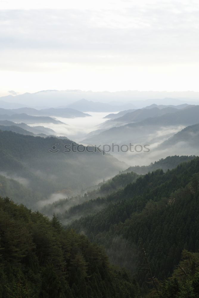 Similar – Image, Stock Photo Alta Pusteria South Tyrol