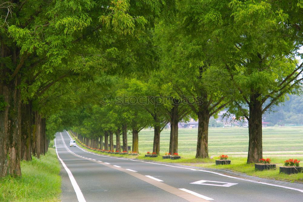 Similar – Foto Bild parking lane @ Hyde Park