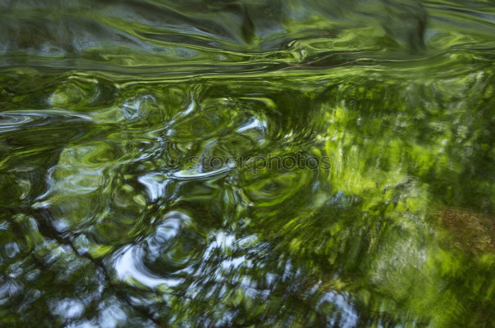 Similar – Image, Stock Photo in the watt Mud flats