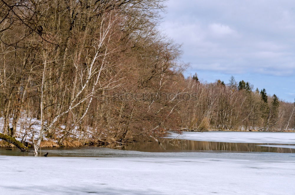 Similar – Image, Stock Photo snow from yesterday