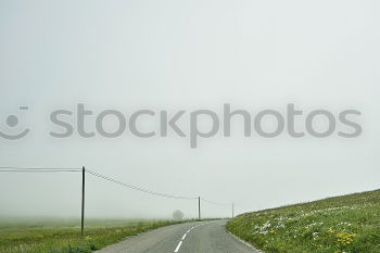 Similar – Image, Stock Photo Noise protection and tyre tracks Burnout